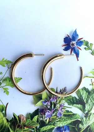 Carla Corp | 14k Med Round Hoop