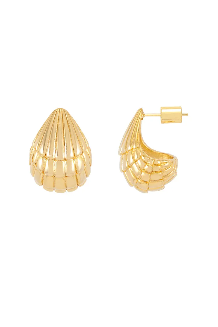 Seashell Teardrop Earrings