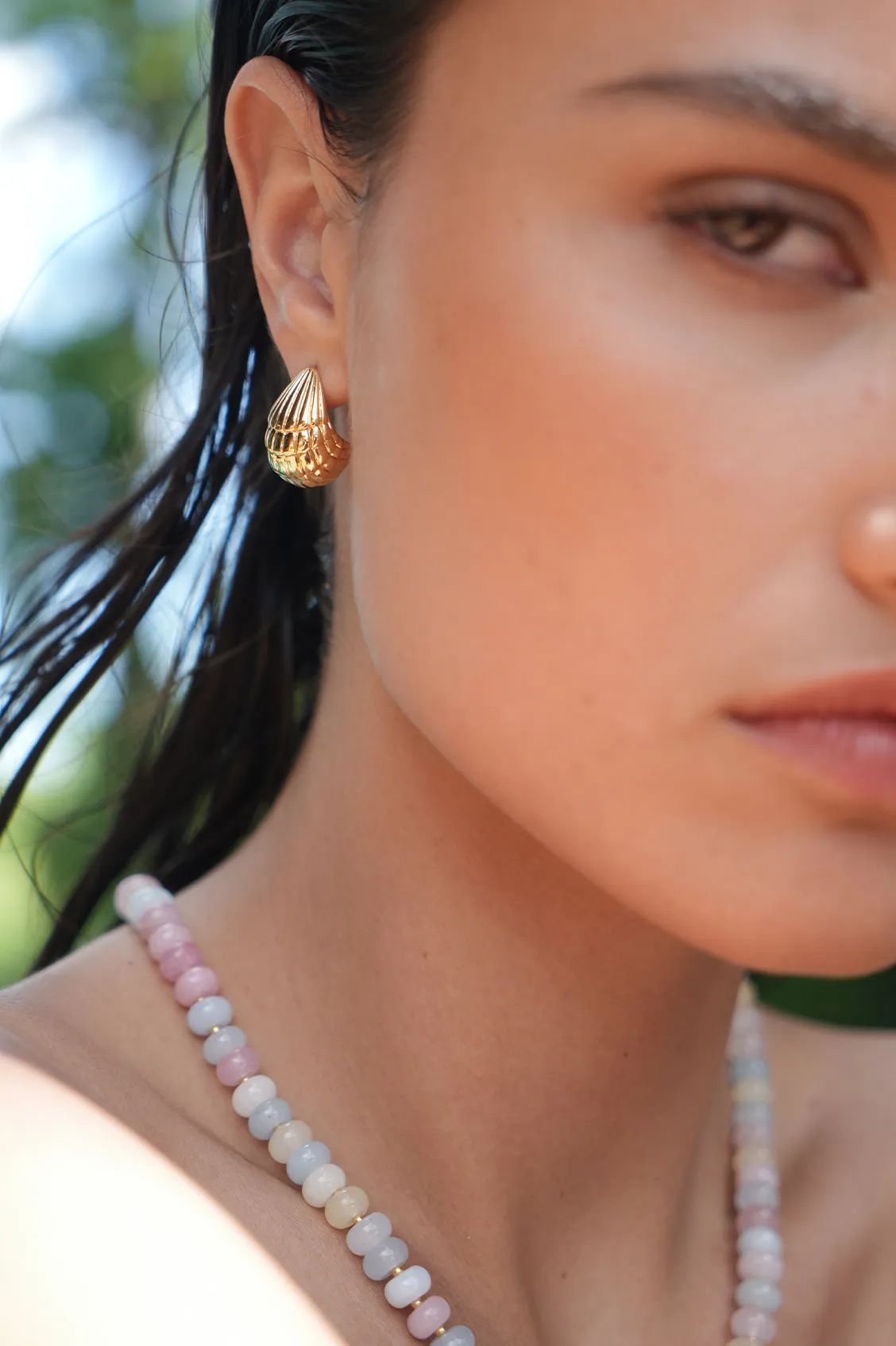 Seashell Teardrop Earrings
