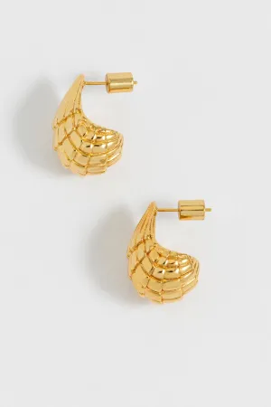 Seashell Teardrop Earrings